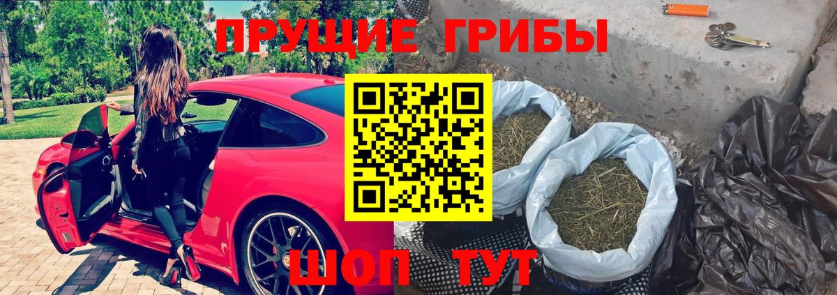 Галлюциногенные грибы Magic Shrooms  где продают наркотики  Заводоуковск  Вход с VPN 